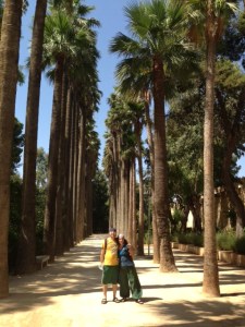 palmiyeli aşk yolu :)