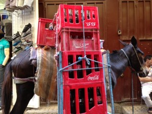 coca cola lojistik..