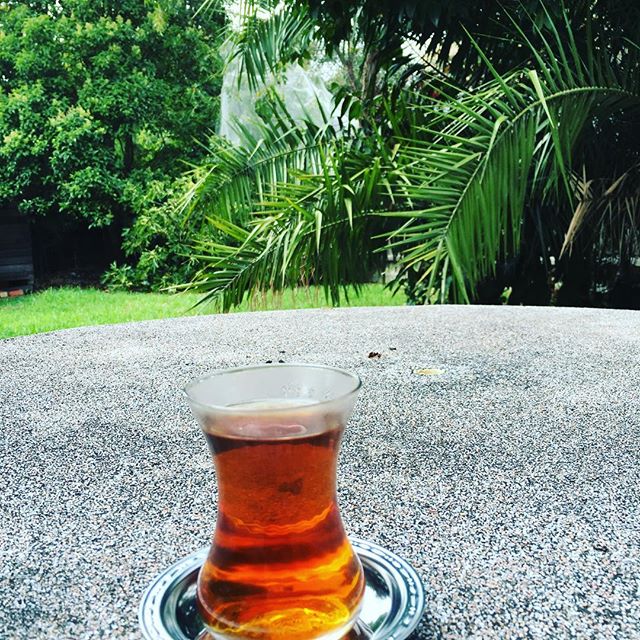 10817636_1560283297634866_207333044_n