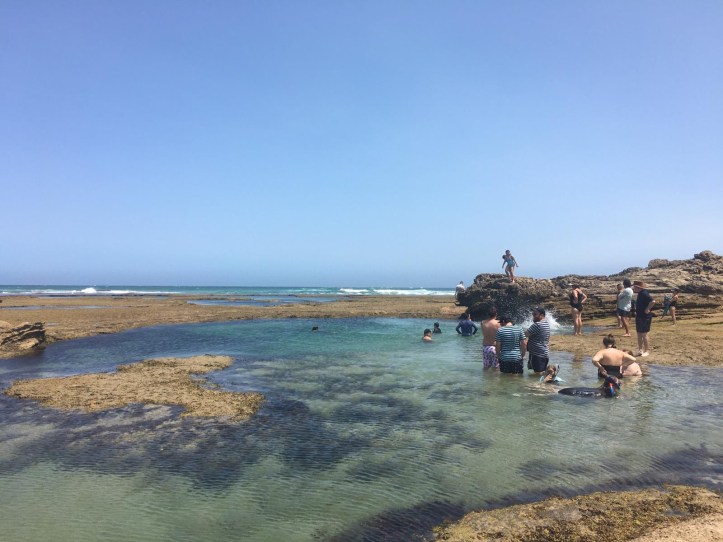 168d66df-366e-46c0-91dc-1c1c2aa112fc